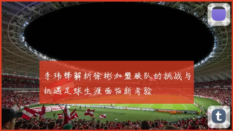 李玮锋解析徐彬加盟狼队的挑战与机遇足球生涯面临新考验